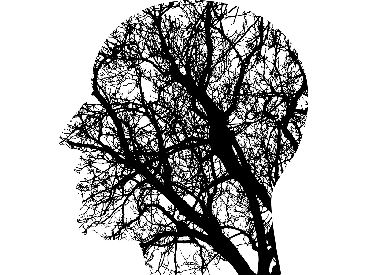 脳内血管の成長の問題が自閉症の原因となっている可能性。研究